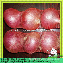 3-4pcs small packing China red onion